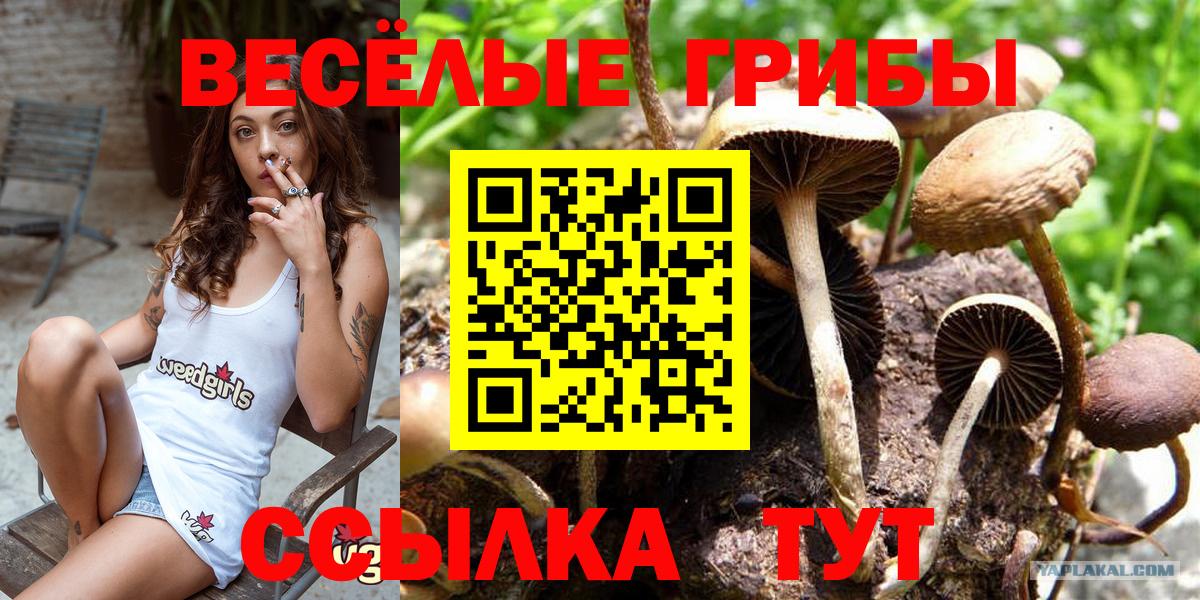 Галлюциногенные грибы ЛСД  Псилоцибиновые грибы Psilocybe  Севастополь  Вход с VPN 
